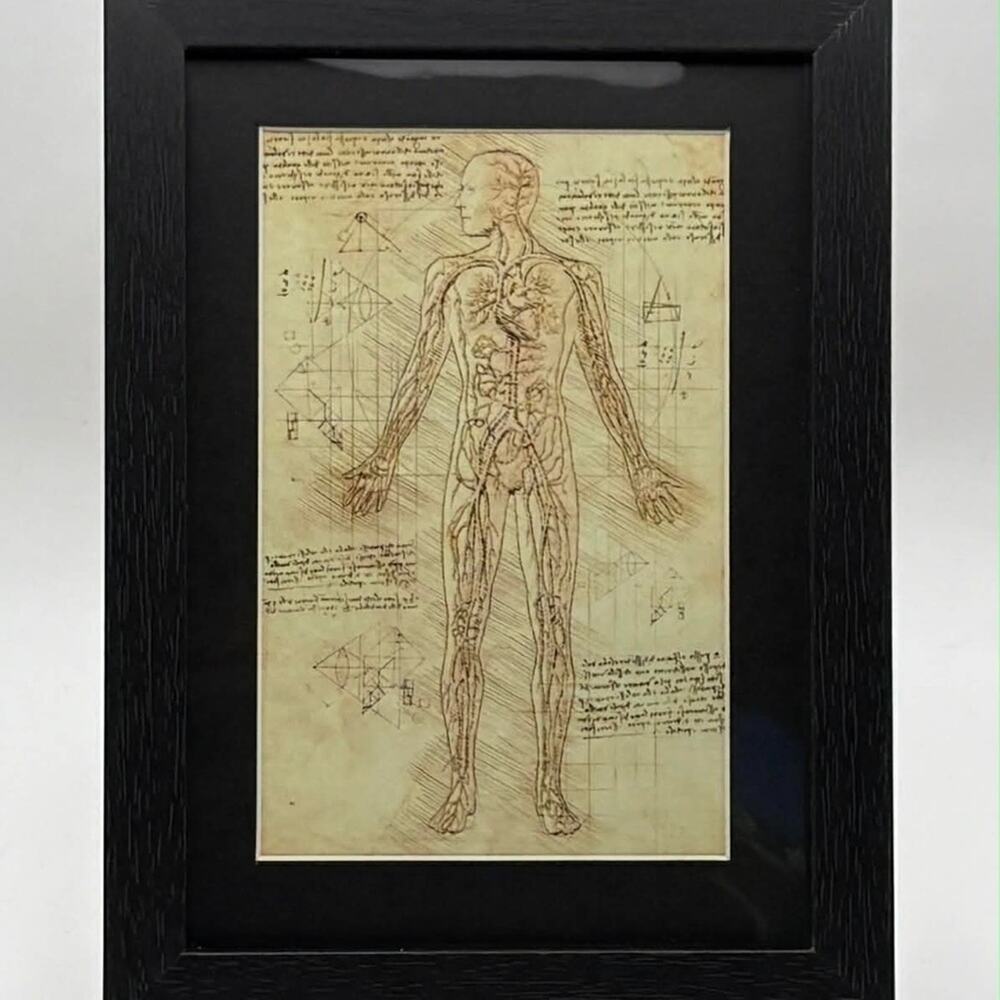 Vintage-Style Anatomical Illustration Art Print